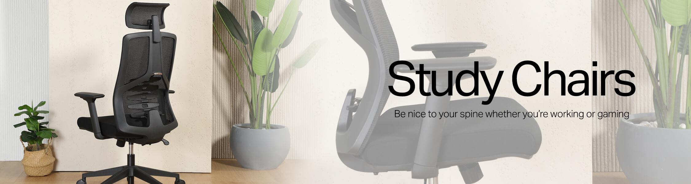 Study Chairs
